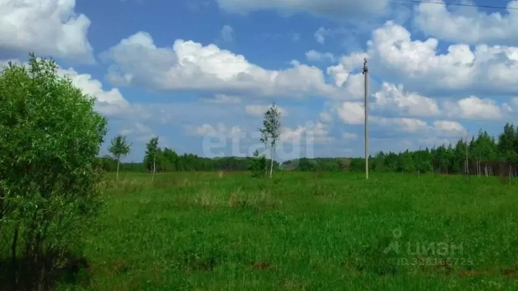 Участок в Калужская область, Тарусский муниципальный округ, Некрасово ... - Фото 1