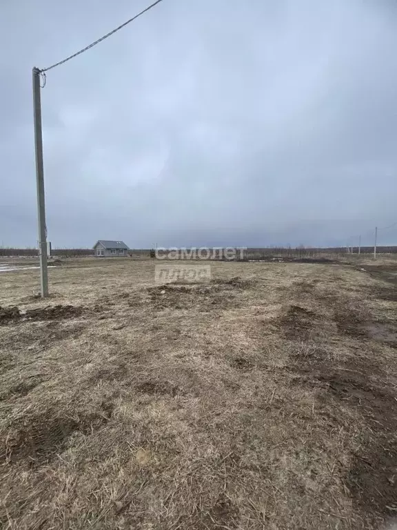 Участок в Марий Эл, Медведевский район, Азяковское с/пос, д. Шеклянур ... - Фото 1