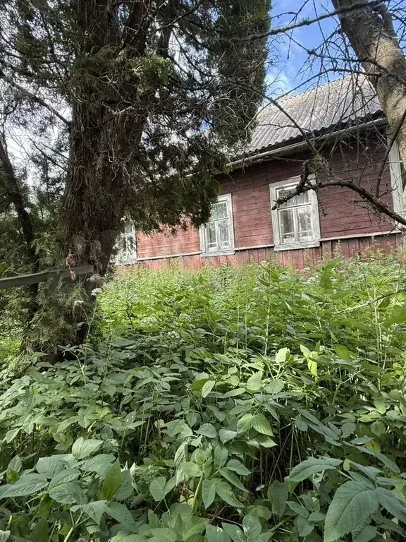 Дом 70,3 м на участке 5,5 сот. - Фото 1