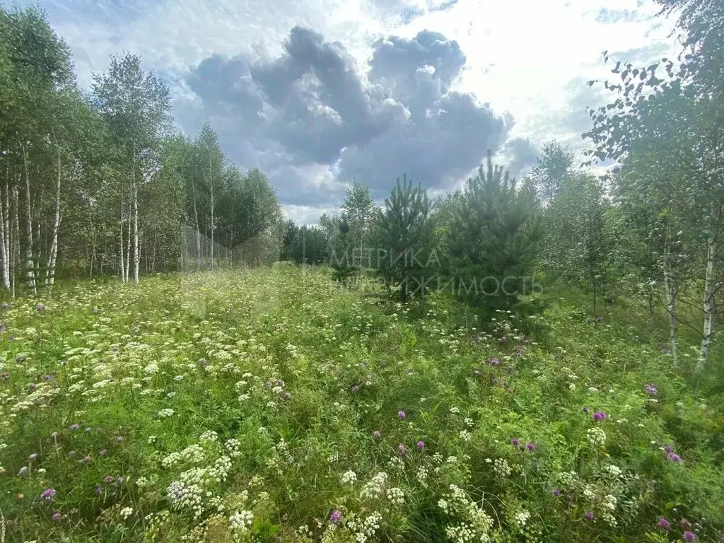 Участок в Тюменская область, Нижнетавдинский муниципальный округ, д. ... - Фото 2