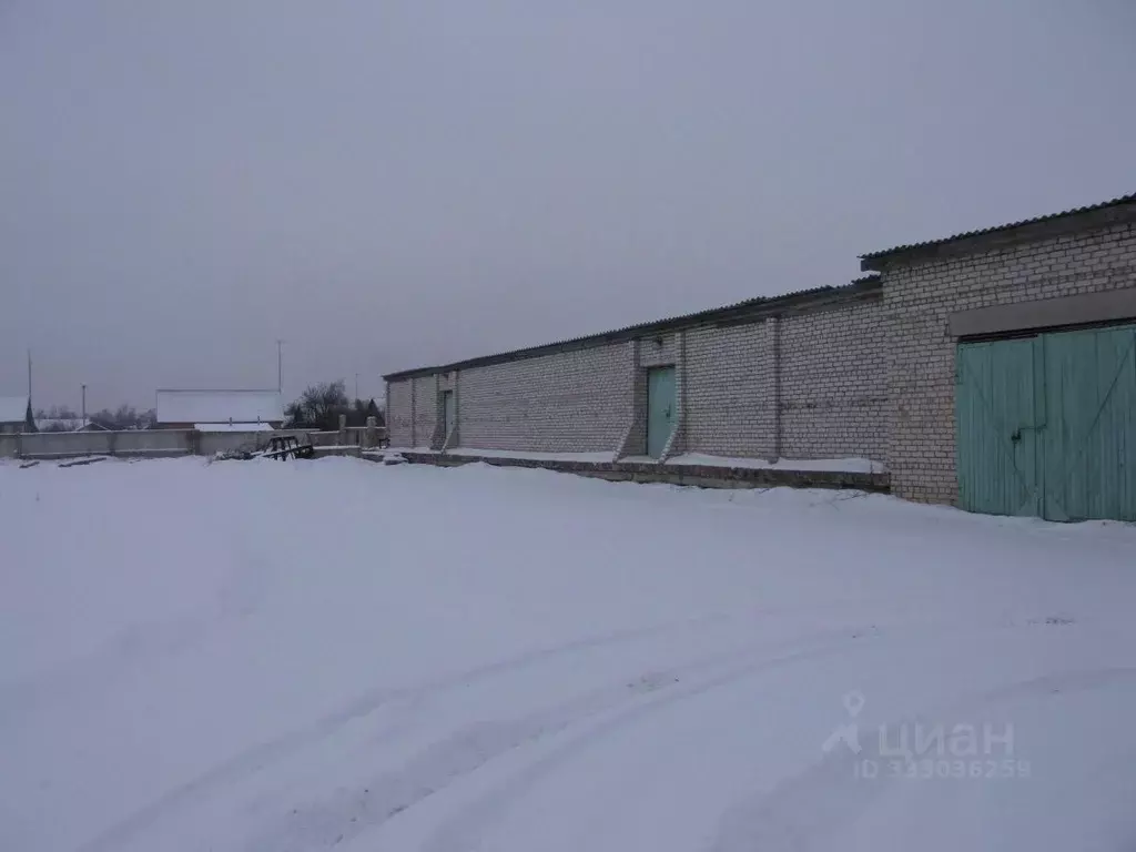 Офис в Псковская область, Красногородск рп ул. Комсомольская, 21 (38 ... - Фото 1