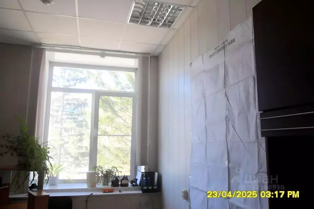 Помещение свободного назначения в Иркутская область, Нижнеудинск ул. ... - Фото 0