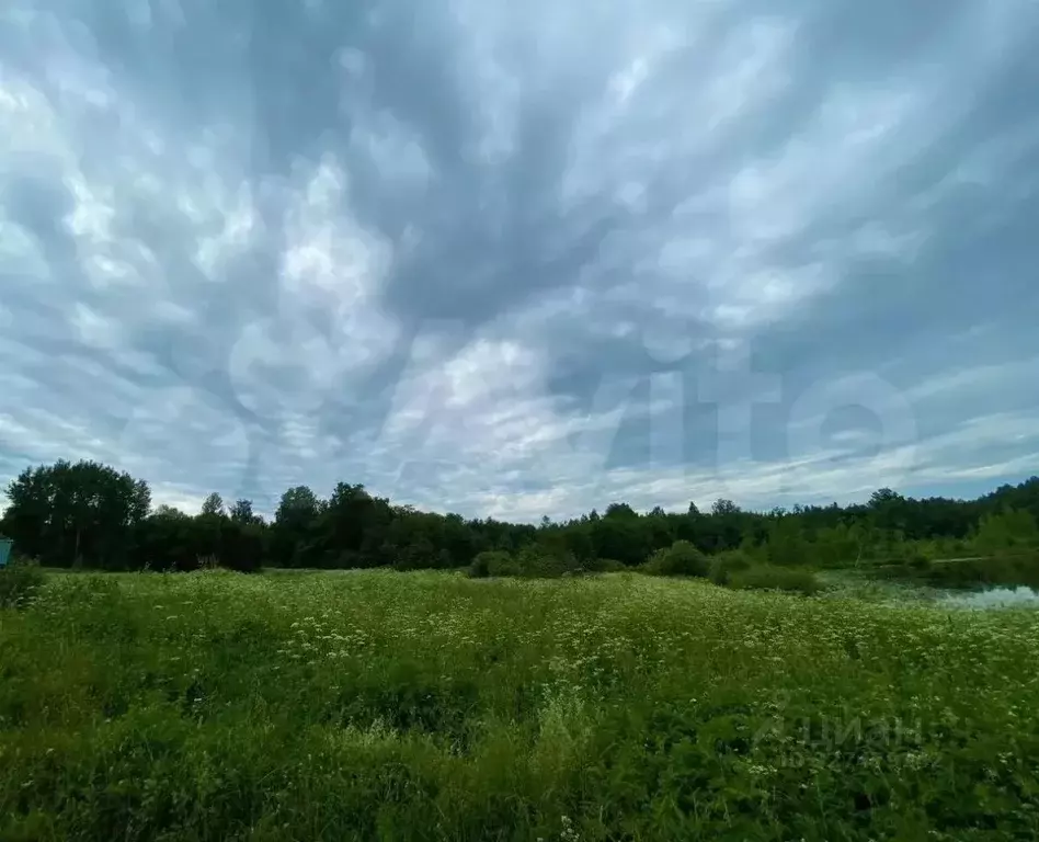 Участок в Псковская область, Палкинский район, Новоуситовская волость, ... - Фото 2