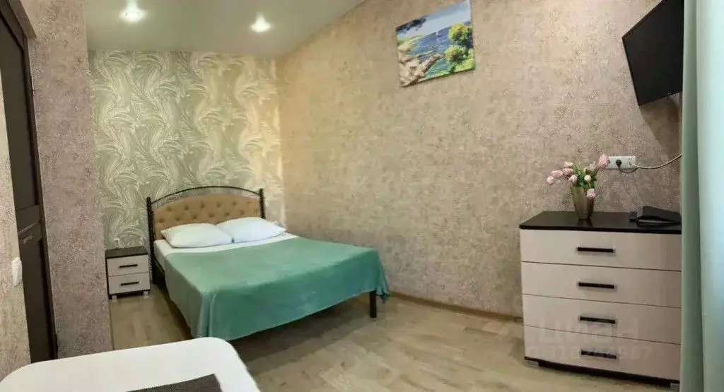 1-к кв. Краснодарский край, Сириус пгт ул. Тюльпанов, 3 (30.0 м) - Фото 0