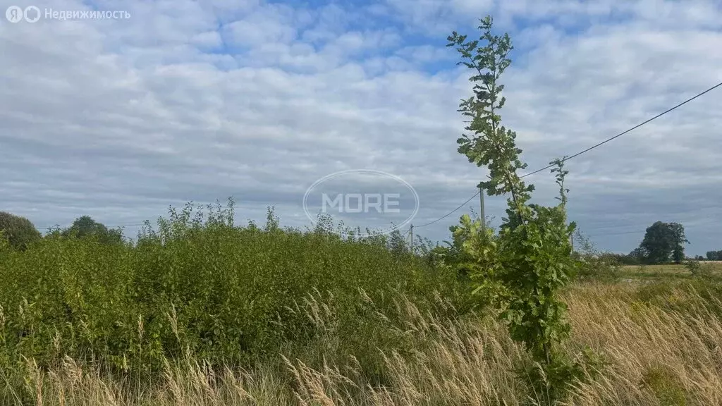 Участок в Калининградская область, Гвардейский муниципальный округ, ... - Фото 1