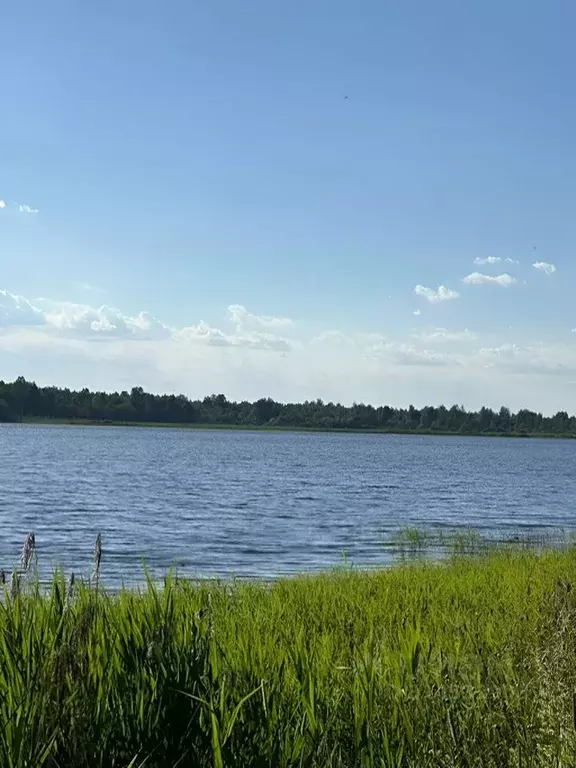 Участок в Новгородская область, Крестецкий муниципальный округ, д. ... - Фото 1