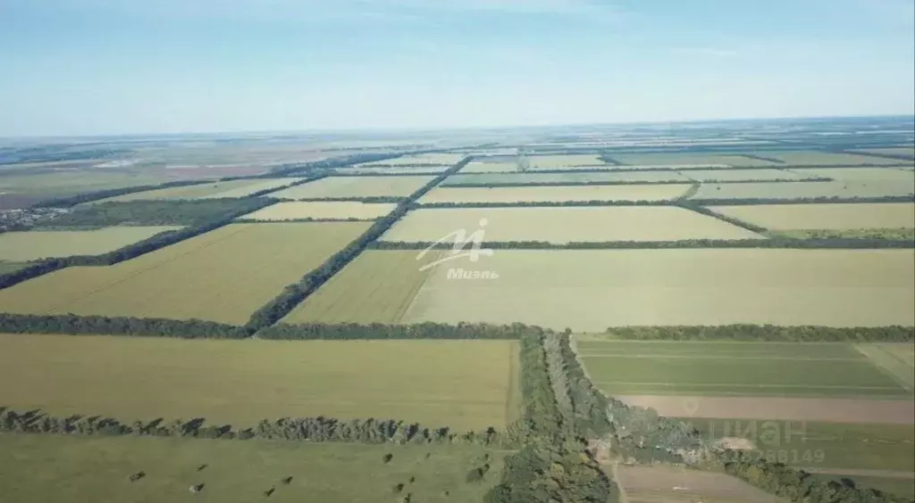 Участок в Крым, Красноперекопский район, с. Воинка  (282.49 сот.) - Фото 1