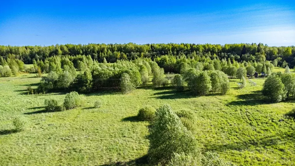 Участок в Ленинградская область, Всеволожский район, Рахьинское ... - Фото 0