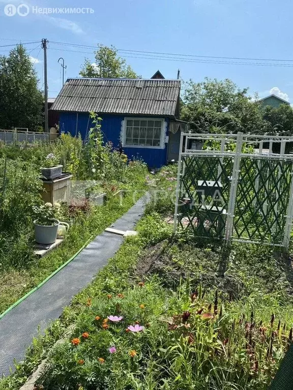 Участок в Барышевский сельсовет, садоводческое некоммерческое ... - Фото 1