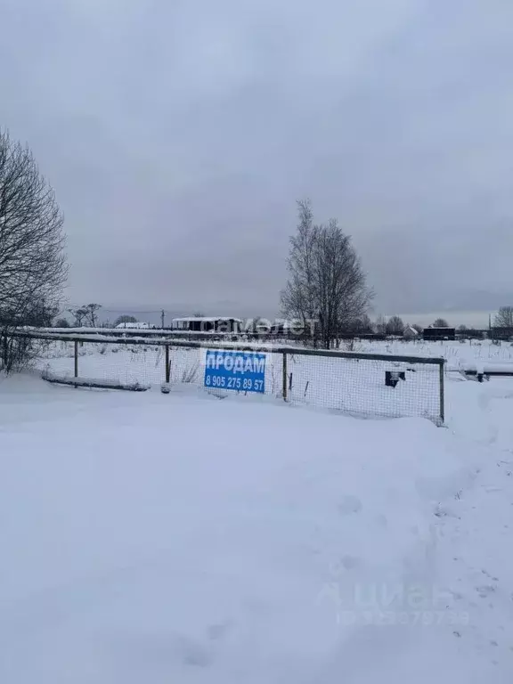 Участок в Ленинградская область, Тосненское городское поселение, д. ... - Фото 2