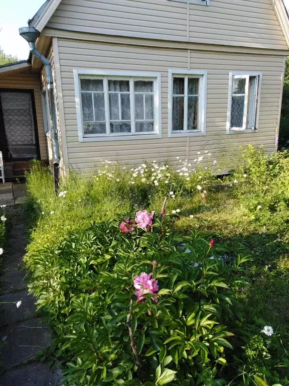 Дом 50 м на участке 6 сот. - Фото 1