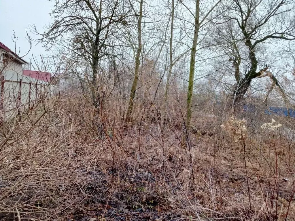 Участок в Московская область, Воскресенск городской округ, д. Золотово ... - Фото 0