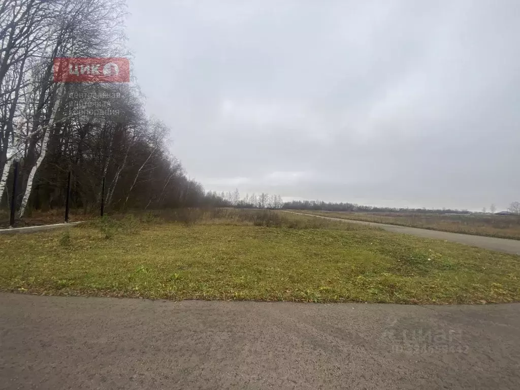 Участок в Рязанская область, Рыбновский муниципальный округ, с. ... - Фото 2