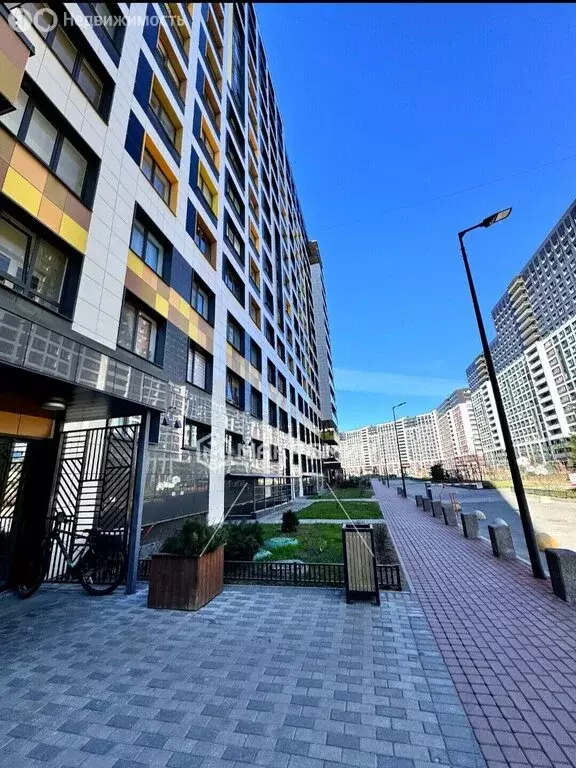 Квартира-студия: Мурино, Ручьёвский проспект, 6 (22.7 м) - Фото 2