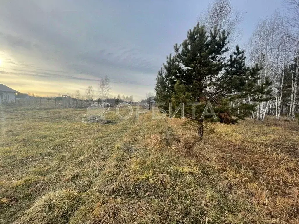 Участок в Тюменская область, Нижнетавдинский муниципальный округ, ... - Фото 0