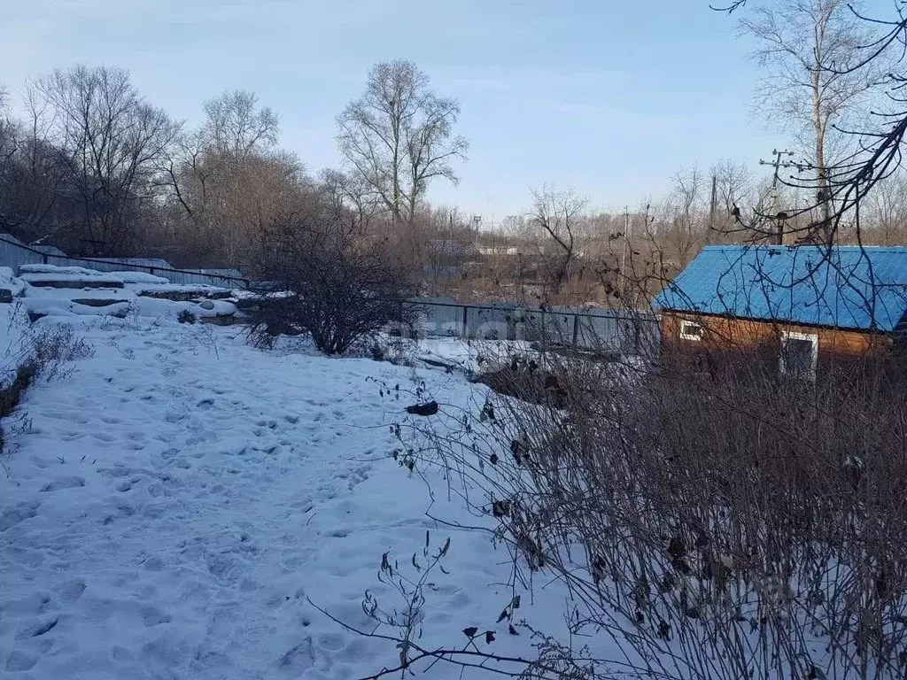 Участок в Амурская область, Белогорск ул. Котовского (8.0 сот.) - Фото 1