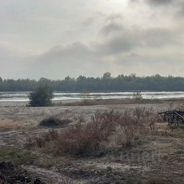 Участок в Ростовская область, Усть-Донецкий район, Раздорская ст-ца ... - Фото 0