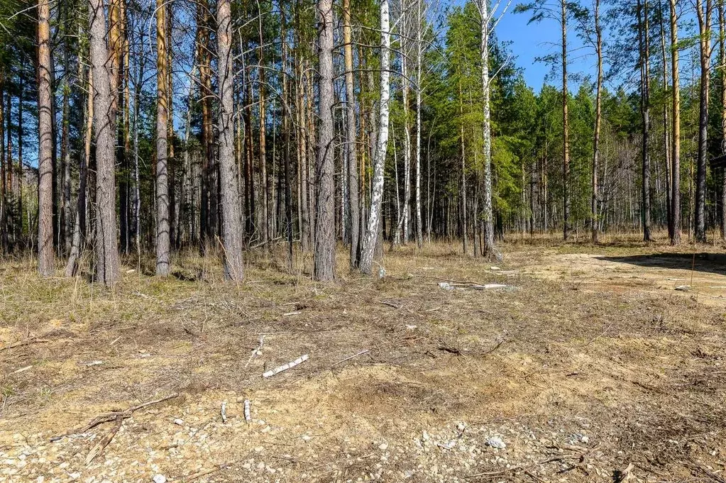 Участок в Свердловская область, Сысертский муниципальный округ, ... - Фото 0