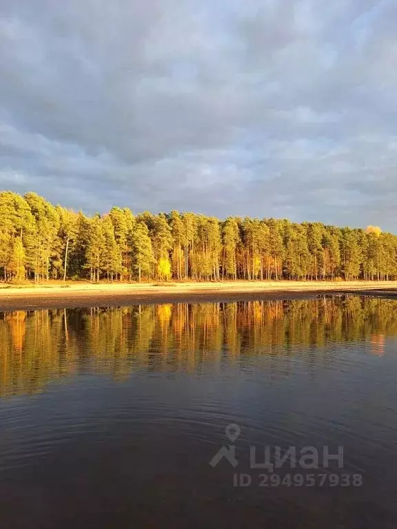 Дом в Ярославская область, Рыбинский район, Покровское с/пос, д. ... - Фото 1