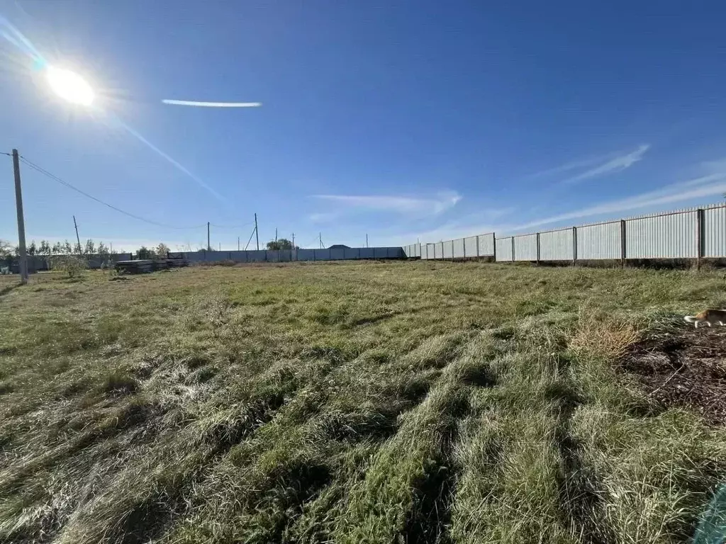 Участок в Оренбургская область, Октябрьский район, Имангуловский ... - Фото 2