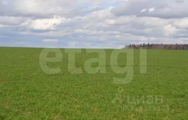 Участок в Брянская область, Карачев  (4353.0 сот.) - Фото 2