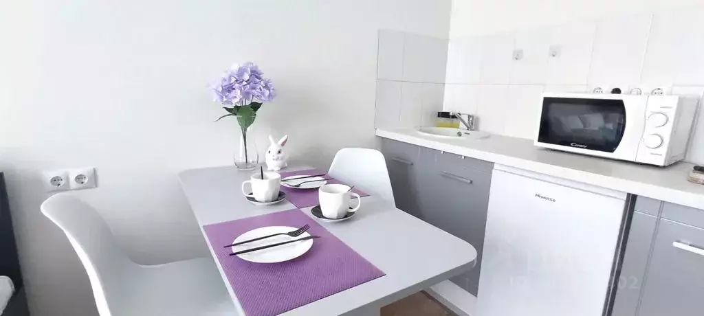 Студия Москва Внуковское поселение, ул. Летчика Грицевца, 14А (20.0 м) - Фото 2