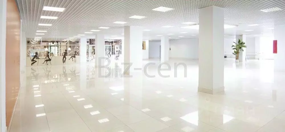 Офис в Санкт-Петербург Северный просп., 5 (28 м) - Фото 2