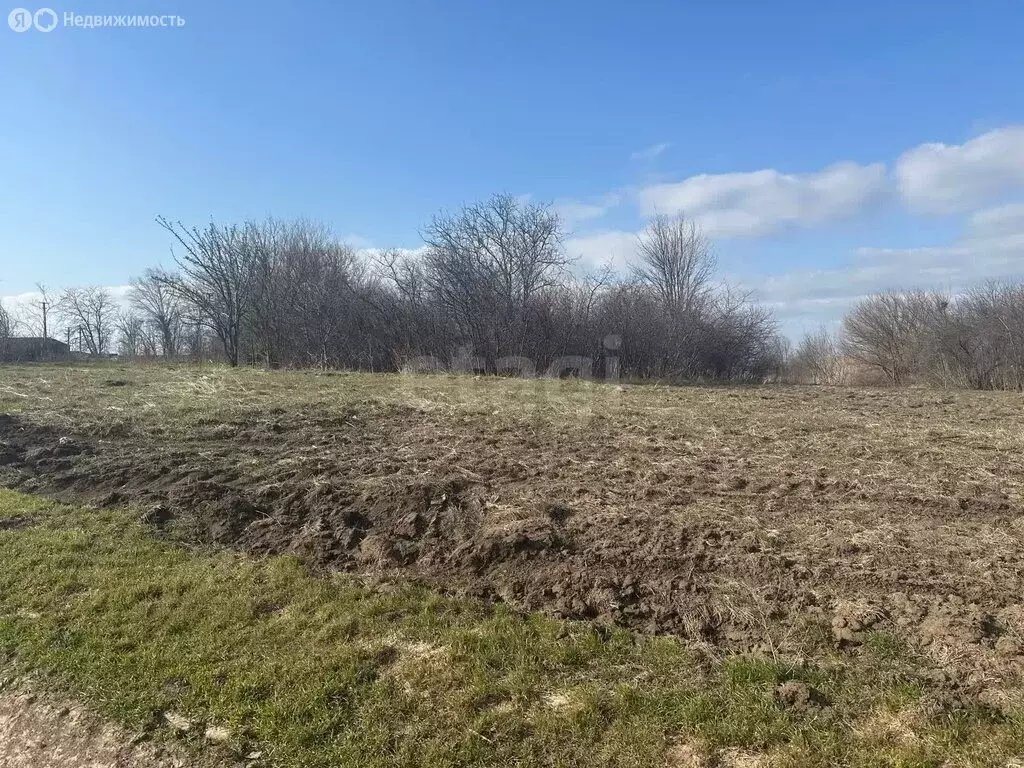 Участок в Тимашевск, Колхозная улица (15 м) - Фото 2