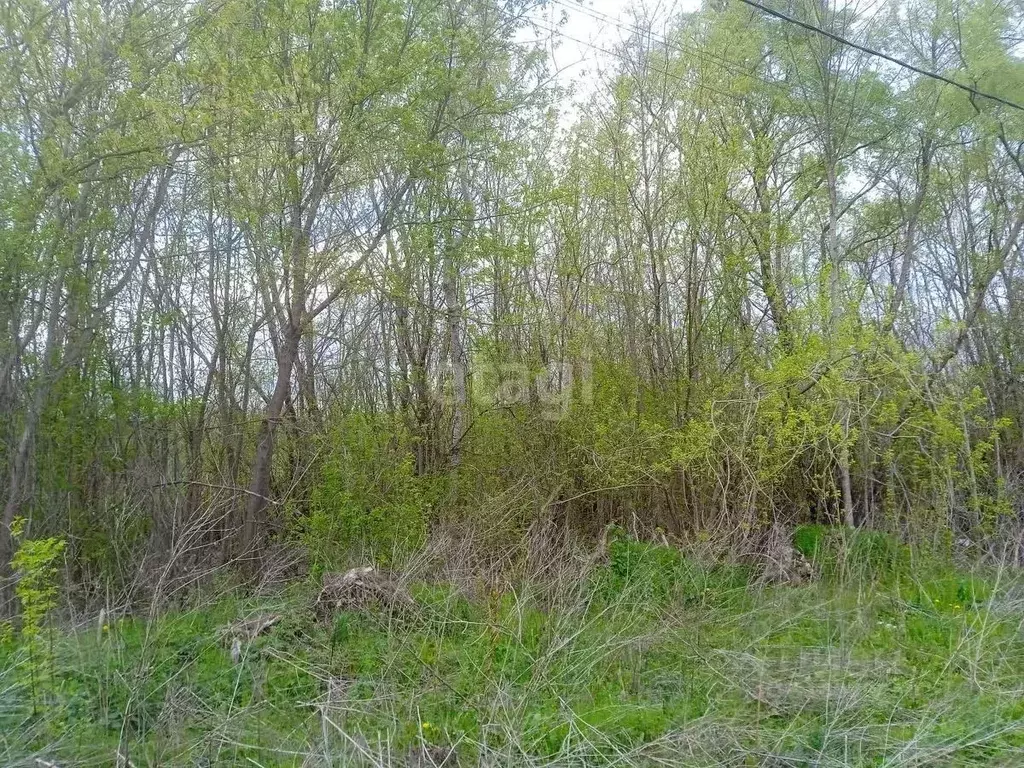Участок в Краснодарский край, Горячий Ключ муниципальный округ, ... - Фото 1