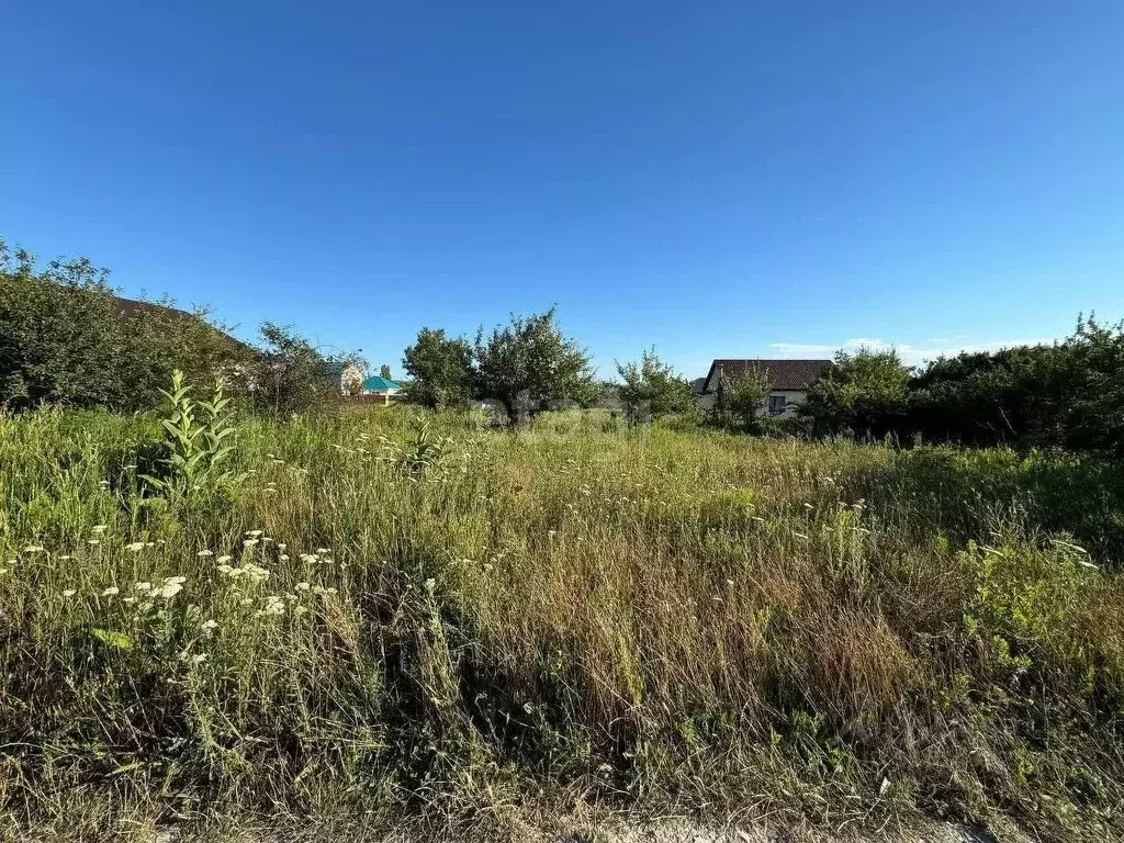 Участок в Краснодарский край, Новороссийск городской округ, ... - Фото 1