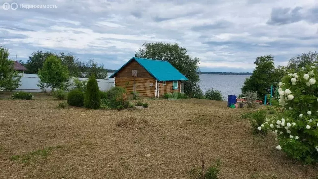 Участок в Вологодская область, Белозерский муниципальный округ, ... - Фото 1