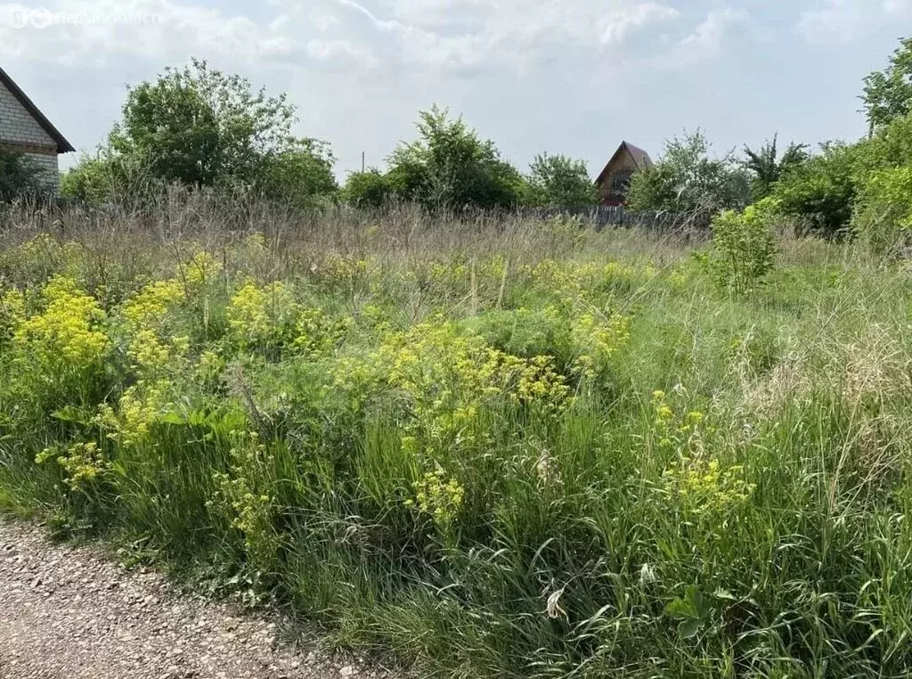 Участок в Наумовский сельсовет, СНТ Ильмень, Поле № 3 (6 м) - Фото 0