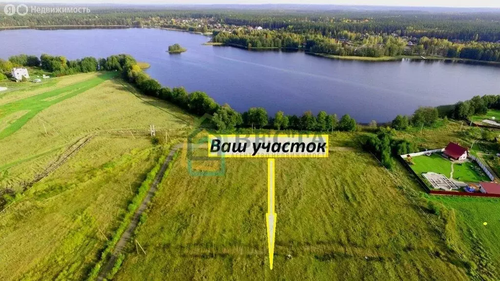 Участок в Приозерский район, Раздольевское сельское поселение, деревня ... - Фото 2