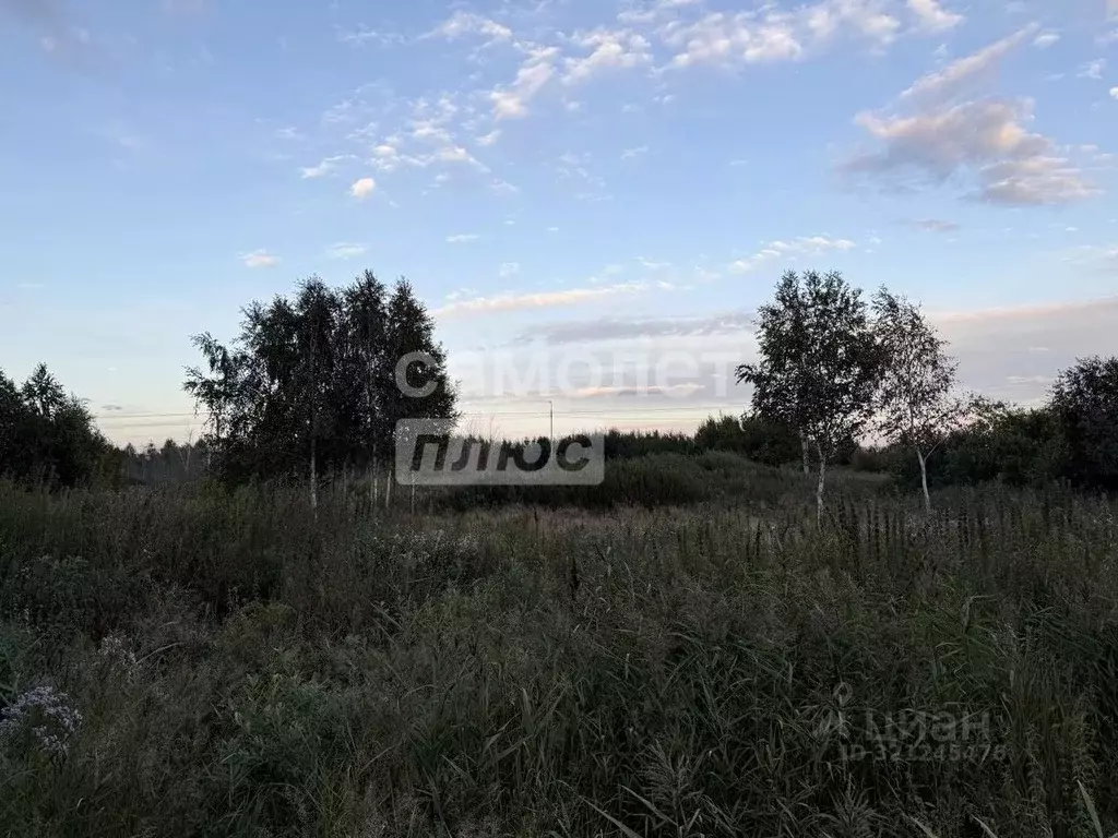 Участок в Тюменская область, Тюмень Матрешка СНТ,  (15.0 сот.) - Фото 0