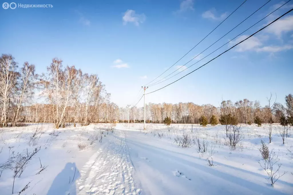 Участок в Искитимский район, Степной сельсовет, посёлок Раздольный ... - Фото 1