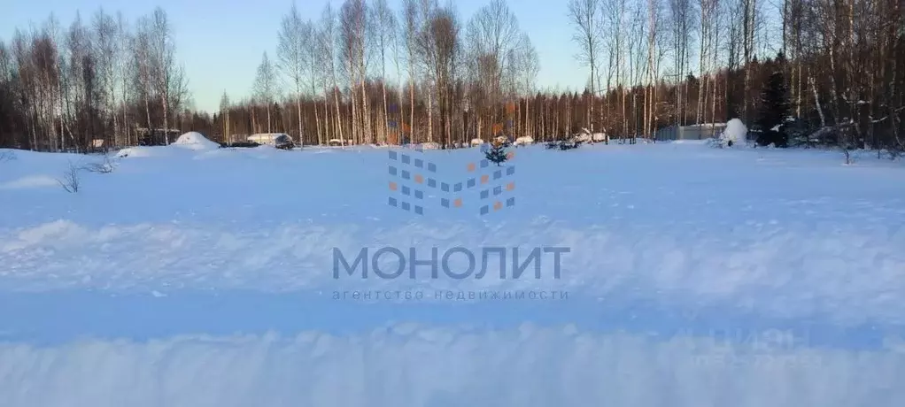 Участок в Московская область, Пушкинский городской округ, Лесная ... - Фото 2