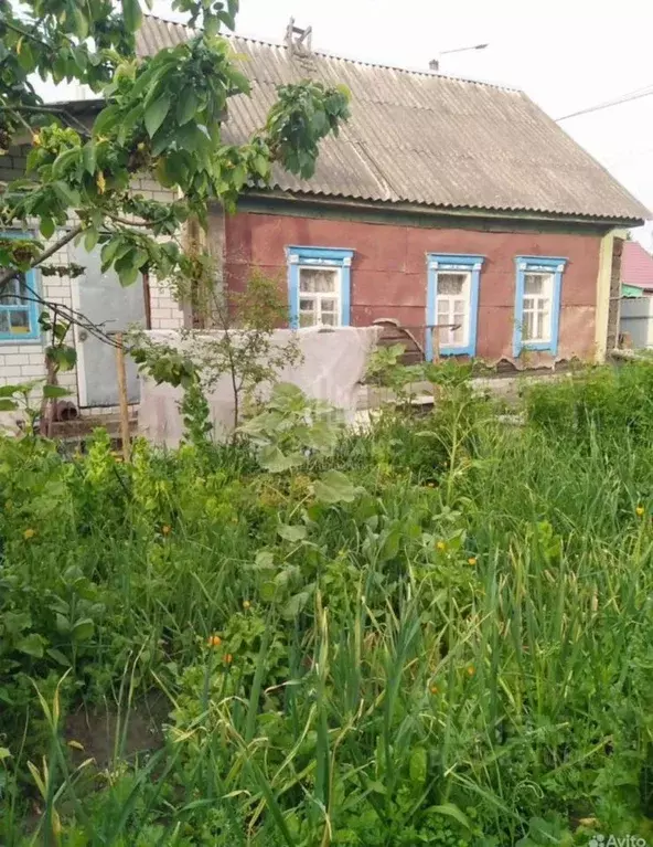 Дом в Брянская область, Унеча Мглинская ул., 29 (71 м) - Фото 0