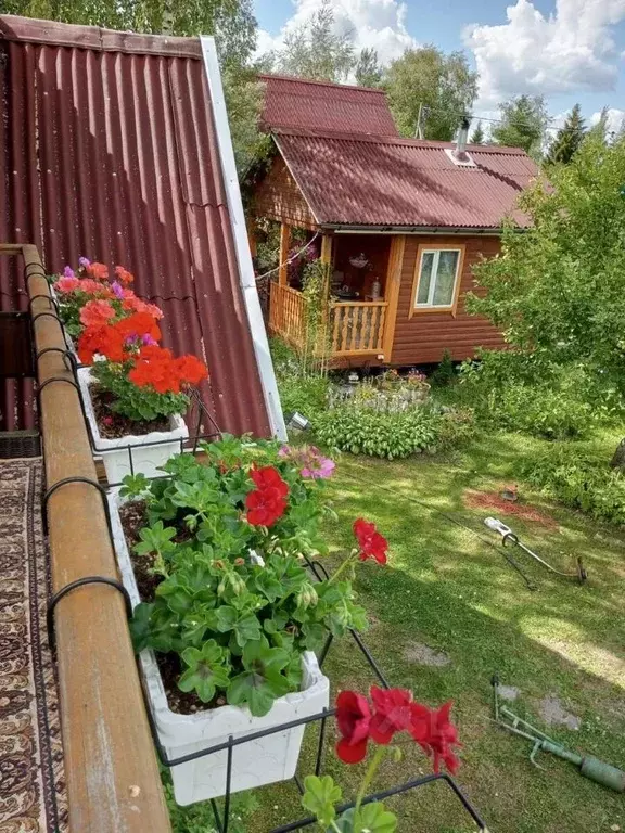 Участок в Ленинградская область, Гатчинский муниципальный округ, ... - Фото 2