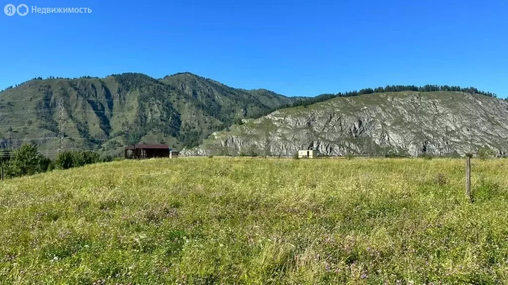 Участок в Чемальский район, село Анос (10 м) - Фото 2