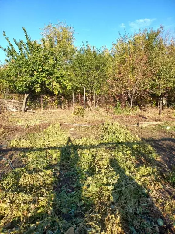 Участок в Саратовская область, Энгельс СНТ Химик-1 мкр,  (4.18 сот.) - Фото 2