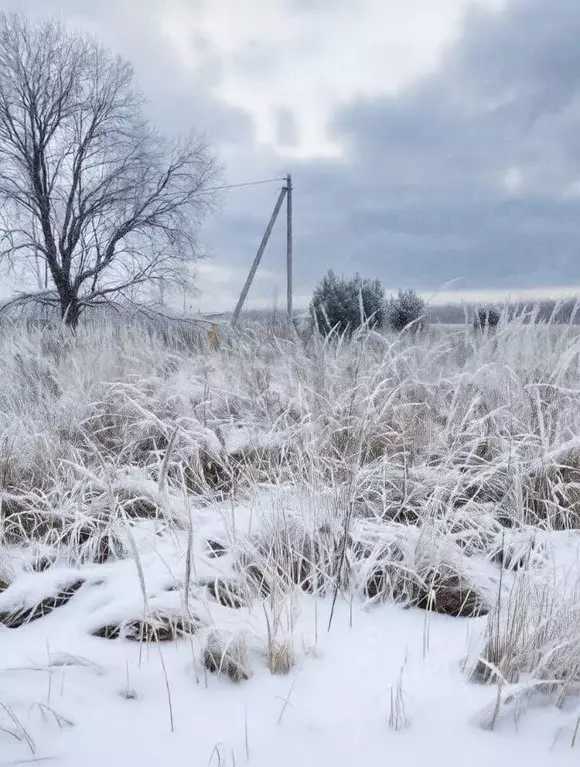 Участок в Владимирская область, Ковровский район, Малыгинское с/пос, ... - Фото 1