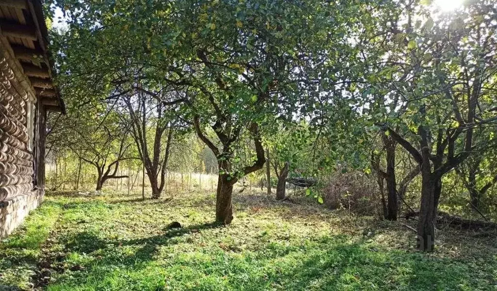 Участок в Тульская область, Заокский район, Демидовское с/пос, пос. ... - Фото 2