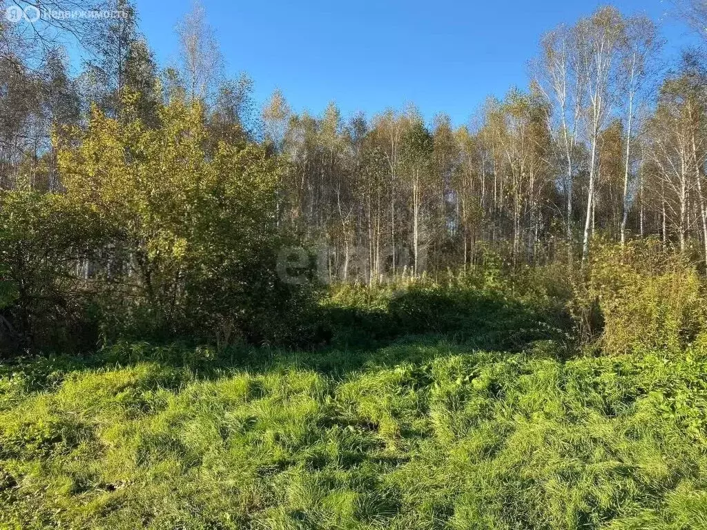 Участок в Нижнетавдинский район, СНТ Здоровье-2 (10 м) - Фото 1