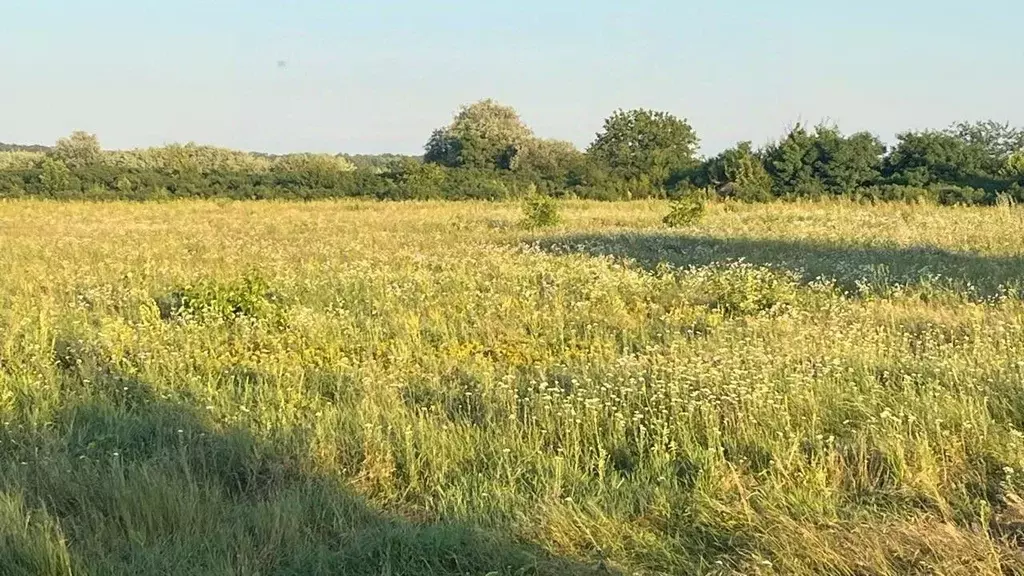 Участок в Краснодарский край, Курганинское городское поселение, ... - Фото 1