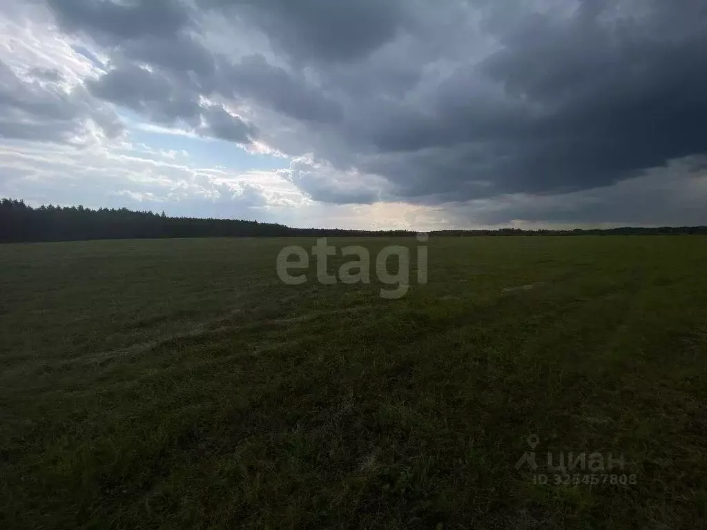 Участок в Свердловская область, Слободо-Туринский район, ... - Фото 2