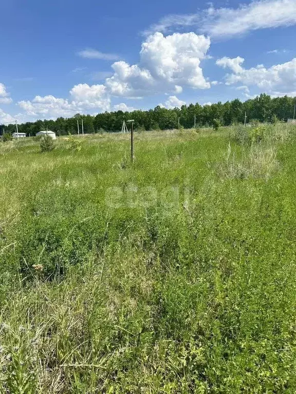 Участок 10,1 сот. (ИЖС) - Фото 1