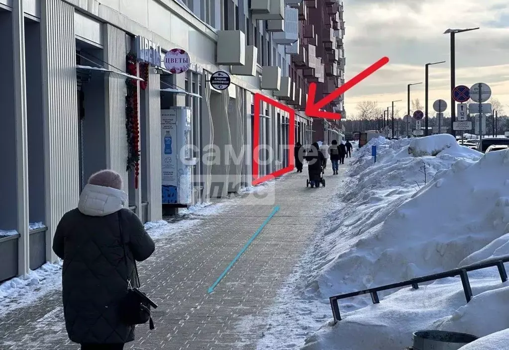 Помещение свободного назначения в Московская область, Ленинский ... - Фото 1