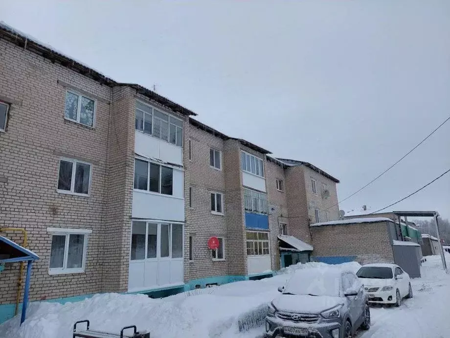 2-к кв. Пермский край, Соликамский городской округ, с. Родники ул. ... - Фото 0