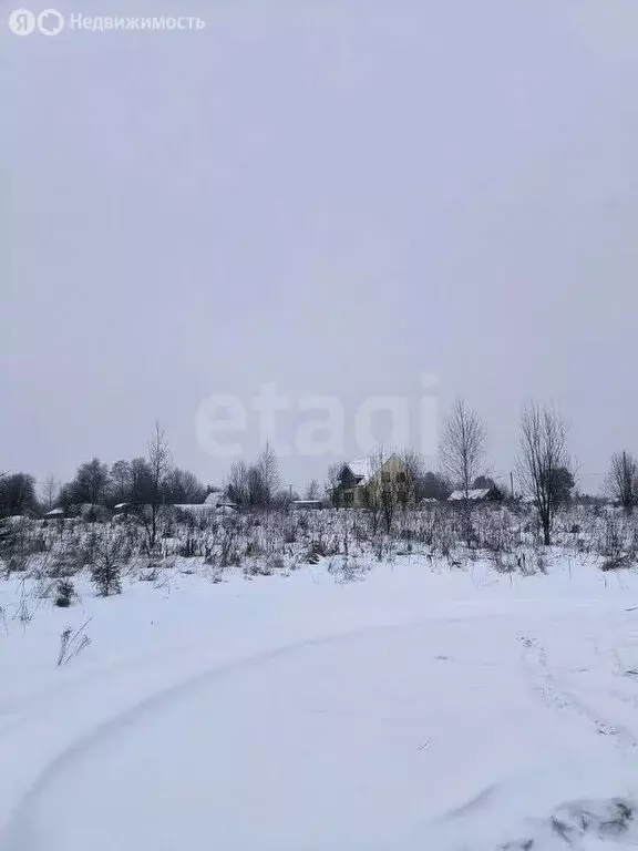 Участок в Вологодский муниципальный округ, село Первомайское (12 м) - Фото 0