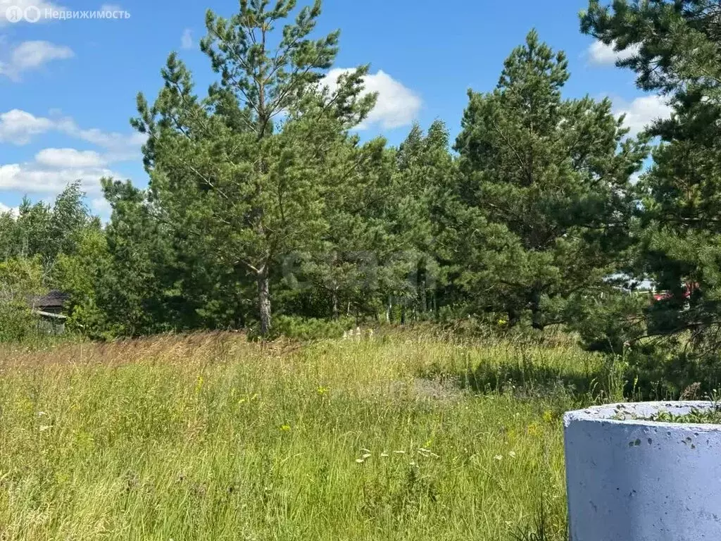 Участок в сельское поселение Мусорка, СНТ Красное Поле (10 м) - Фото 1